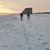 Kimberly Miller's profile image