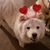 Mary Ragan's profile image