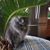 Michelle Christie's profile image