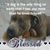Brea Payne Chipman's profile image