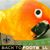 Jackie Kelley's profile image
