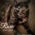 Lisa Anne Sifford's profile image