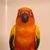 Christie Elliott's profile image