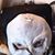 Rob Von D's profile image