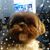 Stewart Atkinson's profile image