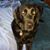 Beth Renee's profile image