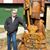 Jim Caulk's profile image