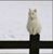 Lisa Ecklund's profile image