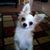 Ann Bedwell Schwartz's profile image