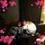 Christina Attebery's profile image