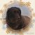 Ginny Moulder Estep's profile image