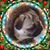 Pati Pyle's profile image