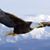 Pam Crumes's profile image