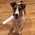 Patrick Musseau's profile image