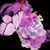 Sheila Ballard's profile image