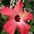 Joan Cotter's profile image