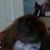 Patricia Doherty's profile image