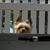 Mary Saputo's profile image