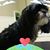 Cindy Kelly Dossett's profile image