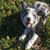 Ian Allum's profile image