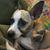 Kendra Jeffus's profile image