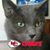 Jim Grainger's profile image