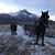 Lindi Quaine's profile image