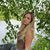 Ariana Quimby's profile image