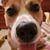 Daryl Carrillo's profile image