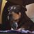 Sophia Lauren's profile image