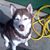 Ermilo Ducret Jr.'s profile image