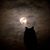 Kathleen Roemer's profile image