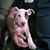 Norma Jean Watts's profile image