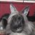 Sebastien Mariller's profile image
