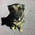 Jeff Andrews's profile image