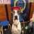 Amy Cardin Brown's profile image