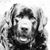 Kevin Farren's profile image
