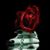 Peggy Kight's profile image
