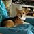 Elizabeth Caudle Ong's profile image