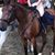 Sudie McCool Moyse's profile image