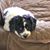 Scott R. Duplisea's profile image