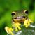 Judy Singletary's profile image