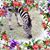 Sara Lyle's profile image