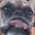 Jackie Yurian's profile image