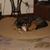 Beth Booher's profile image