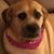 Karyn Chagnon's profile image