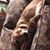 Teddy Barger's profile image