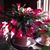 Kathy Snowden Croft's profile image