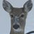 June Ebbole Myers's profile image