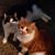 Vickie Padgett's profile image